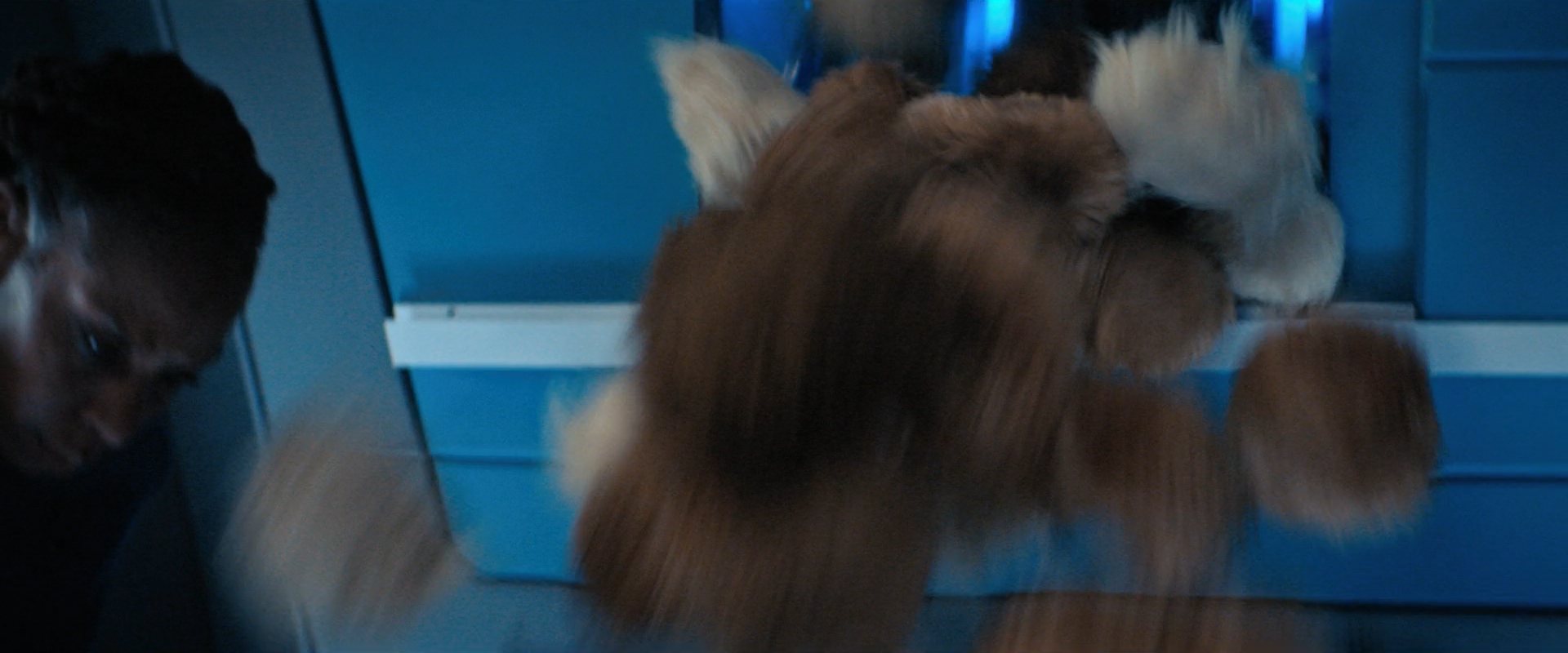 extant_StarTrekDiscovery_ShortTreks0006_TheTroubleWithEdward_01101.jpg