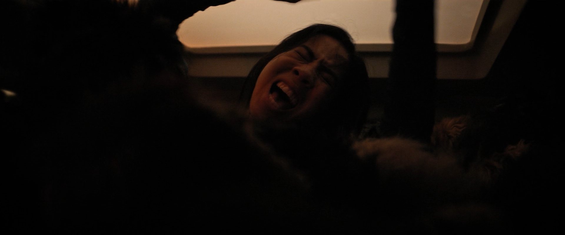 extant_StarTrekDiscovery_ShortTreks0006_TheTroubleWithEdward_01107.jpg