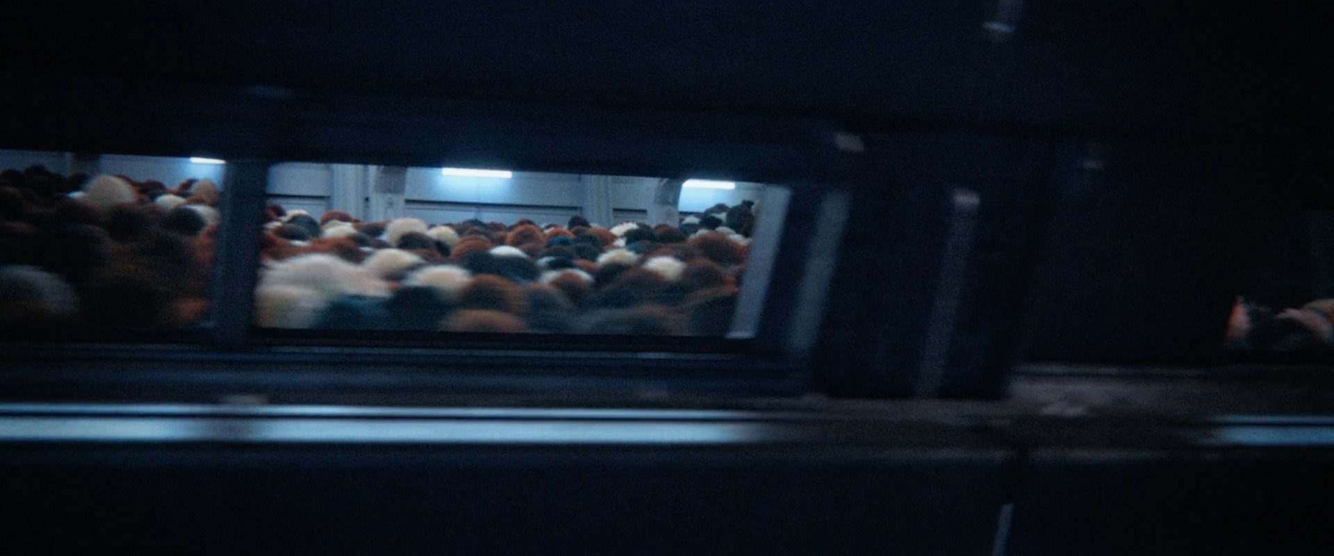 extant_StarTrekDiscovery_ShortTreks0006_TheTroubleWithEdward_01139.jpg
