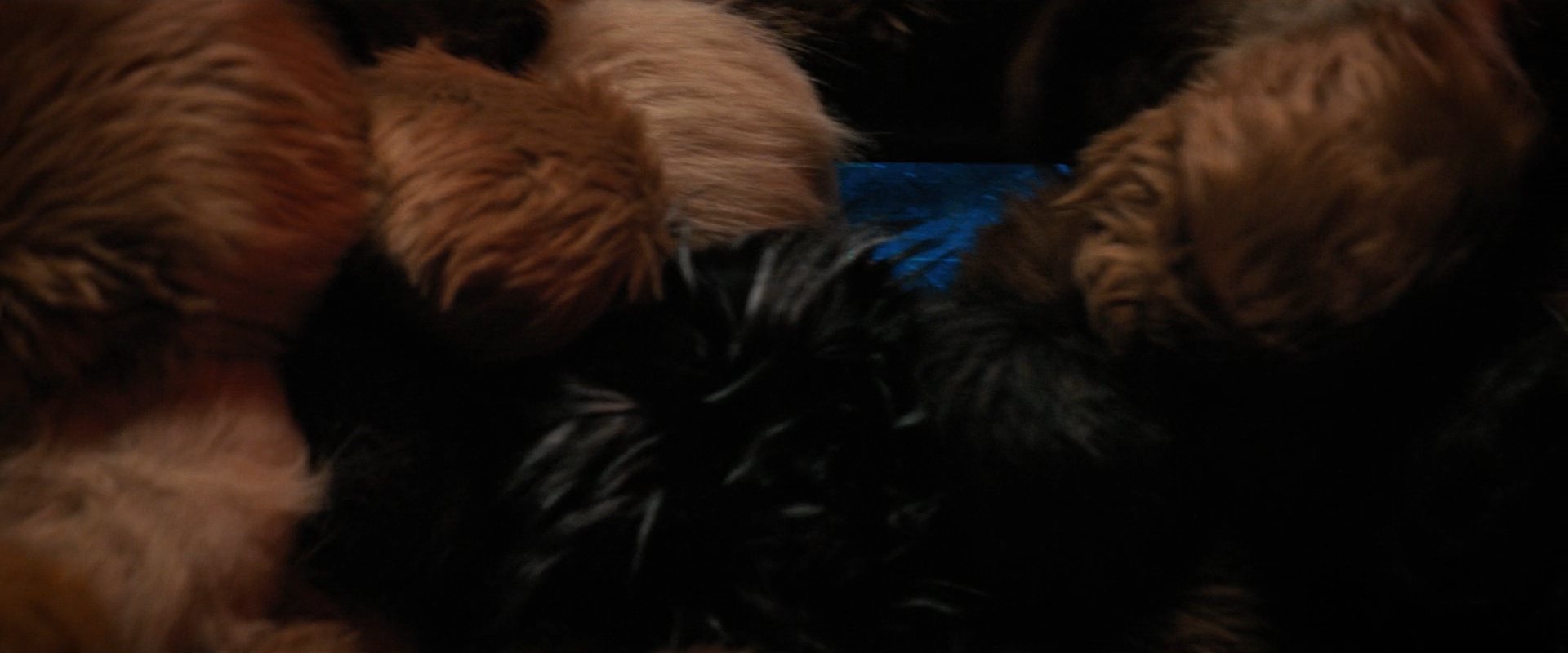 extant_StarTrekDiscovery_ShortTreks0006_TheTroubleWithEdward_01147.jpg