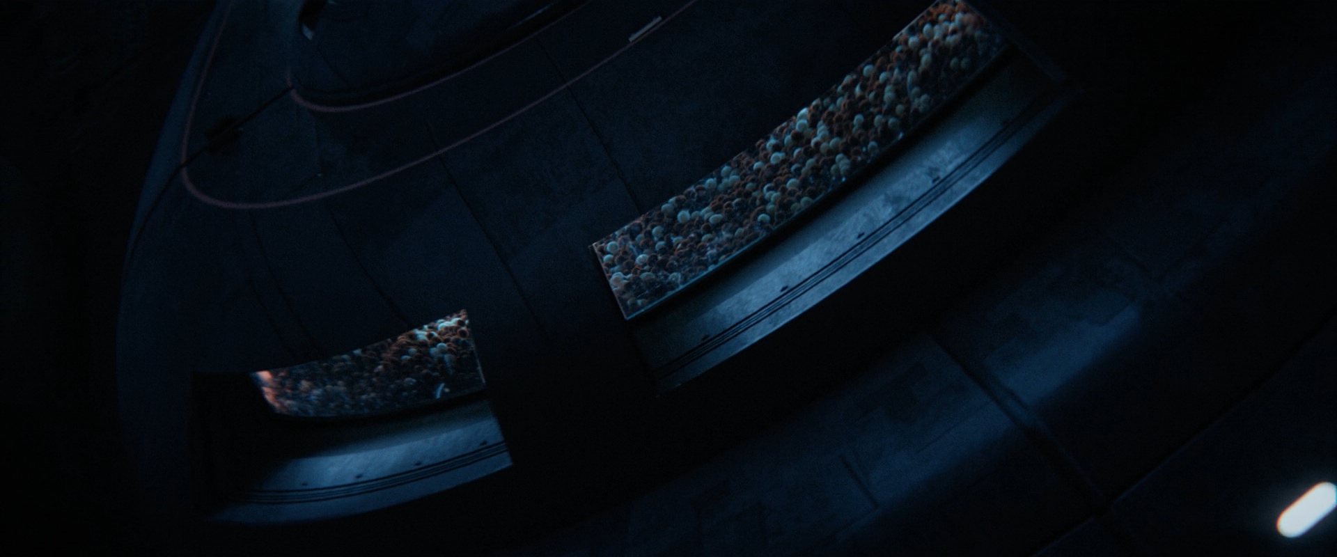 extant_StarTrekDiscovery_ShortTreks0006_TheTroubleWithEdward_01238.jpg