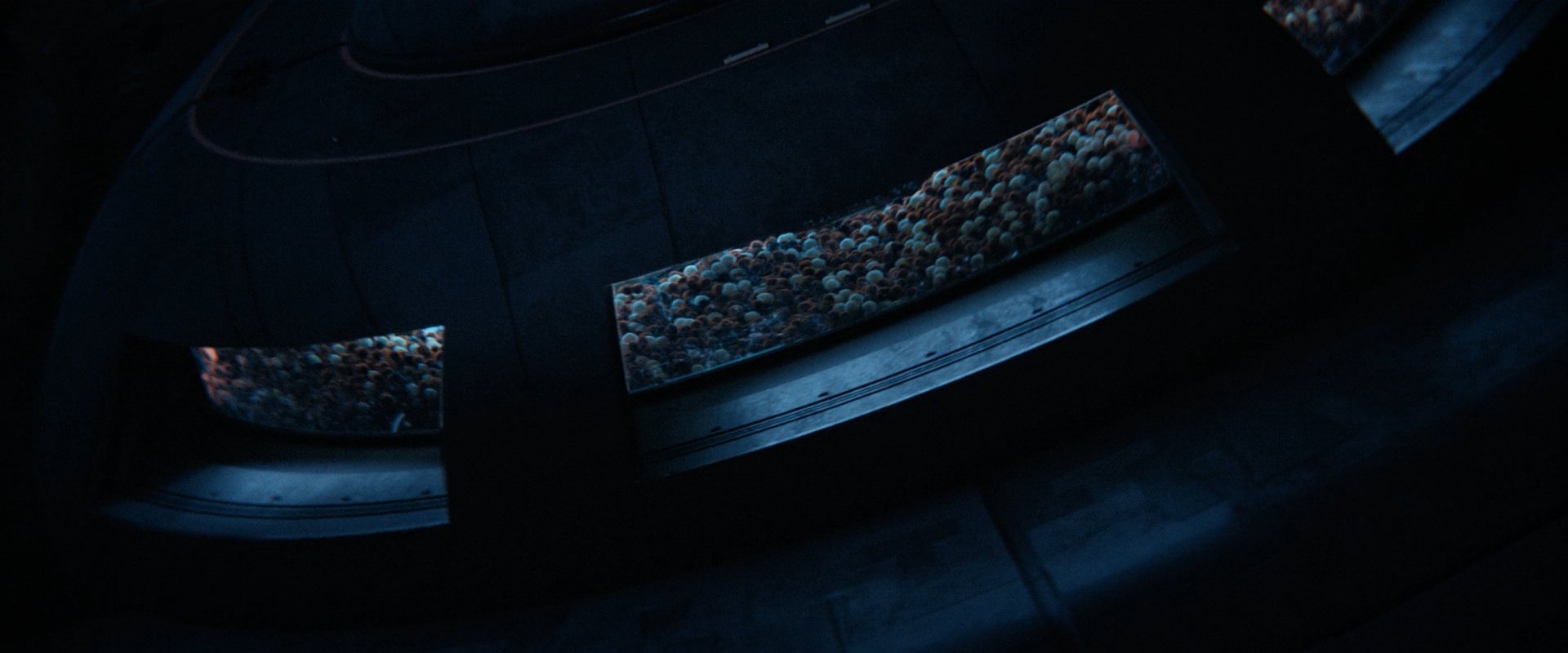 extant_StarTrekDiscovery_ShortTreks0006_TheTroubleWithEdward_01239.jpg