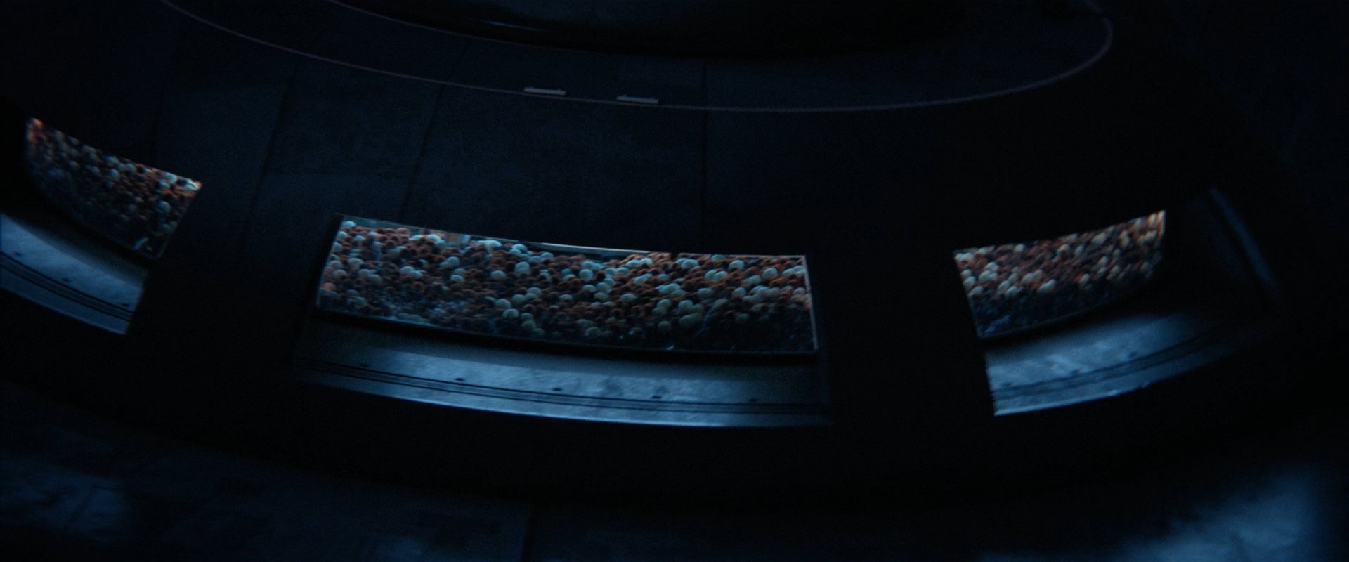 extant_StarTrekDiscovery_ShortTreks0006_TheTroubleWithEdward_01241.jpg