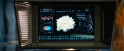 Filename=extant_StarTrekDiscovery_ShortTreks0006_TheTroubleWithEdward_00397.jpg
Filesize=227KiB
Dimensions=1920x800
Date added=Oct 11, 2019 extant_StarTrekDiscovery_ShortTreks0006_TheTroubleWithEdward_00397.jpg