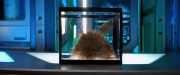 Filename=extant_StarTrekDiscovery_ShortTreks0006_TheTroubleWithEdward_00817.jpg
Filesize=173KiB
Dimensions=1920x800
Date added=Oct 11, 2019 extant_StarTrekDiscovery_ShortTreks0006_TheTroubleWithEdward_00817.jpg