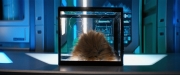 Filename=extant_StarTrekDiscovery_ShortTreks0006_TheTroubleWithEdward_00818.jpg
Filesize=174KiB
Dimensions=1920x800
Date added=Oct 11, 2019 extant_StarTrekDiscovery_ShortTreks0006_TheTroubleWithEdward_00818.jpg