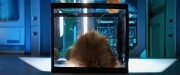 extant_StarTrekDiscovery_ShortTreks0006_TheTroubleWithEdward_00823.jpg