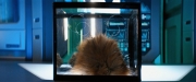 extant_StarTrekDiscovery_ShortTreks0006_TheTroubleWithEdward_00824.jpg