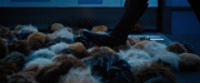 Filename=extant_StarTrekDiscovery_ShortTreks0006_TheTroubleWithEdward_00980.jpg
Filesize=141KiB
Dimensions=1920x800
Date added=Oct 11, 2019 extant_StarTrekDiscovery_ShortTreks0006_TheTroubleWithEdward_00980.jpg