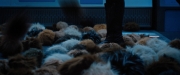 Filename=extant_StarTrekDiscovery_ShortTreks0006_TheTroubleWithEdward_00981.jpg
Filesize=130KiB
Dimensions=1920x800
Date added=Oct 11, 2019 extant_StarTrekDiscovery_ShortTreks0006_TheTroubleWithEdward_00981.jpg