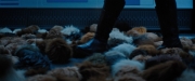 Filename=extant_StarTrekDiscovery_ShortTreks0006_TheTroubleWithEdward_00983.jpg
Filesize=130KiB
Dimensions=1920x800
Date added=Oct 11, 2019 extant_StarTrekDiscovery_ShortTreks0006_TheTroubleWithEdward_00983.jpg