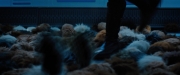 Filename=extant_StarTrekDiscovery_ShortTreks0006_TheTroubleWithEdward_00984.jpg
Filesize=123KiB
Dimensions=1920x800
Date added=Oct 11, 2019 extant_StarTrekDiscovery_ShortTreks0006_TheTroubleWithEdward_00984.jpg
