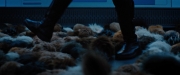 Filename=extant_StarTrekDiscovery_ShortTreks0006_TheTroubleWithEdward_00985.jpg
Filesize=126KiB
Dimensions=1920x800
Date added=Oct 11, 2019 extant_StarTrekDiscovery_ShortTreks0006_TheTroubleWithEdward_00985.jpg
