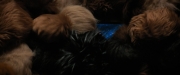 Filename=extant_StarTrekDiscovery_ShortTreks0006_TheTroubleWithEdward_01146.jpg
Filesize=104KiB
Dimensions=1920x800
Date added=Oct 11, 2019 extant_StarTrekDiscovery_ShortTreks0006_TheTroubleWithEdward_01146.jpg