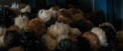 Filename=extant_StarTrekDiscovery_ShortTreks0006_TheTroubleWithEdward_01148.jpg
Filesize=124KiB
Dimensions=1920x800
Date added=Oct 11, 2019 extant_StarTrekDiscovery_ShortTreks0006_TheTroubleWithEdward_01148.jpg