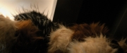Filename=extant_StarTrekDiscovery_ShortTreks0006_TheTroubleWithEdward_01150.jpg
Filesize=119KiB
Dimensions=1920x800
Date added=Oct 11, 2019 extant_StarTrekDiscovery_ShortTreks0006_TheTroubleWithEdward_01150.jpg
