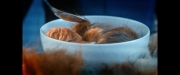 Filename=extant_StarTrekDiscovery_ShortTreks0006_TheTroubleWithEdward_01550.jpg
Filesize=119KiB
Dimensions=1920x800
Date added=Oct 11, 2019 extant_StarTrekDiscovery_ShortTreks0006_TheTroubleWithEdward_01550.jpg